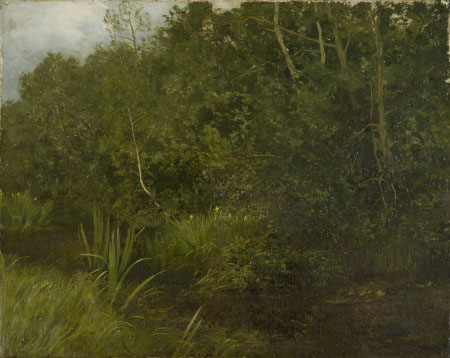 Landscape with a pond